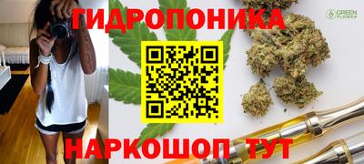 2c-b Лесосибирск
