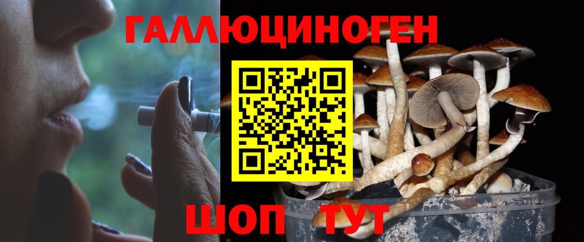 Псилоцибиновые грибы MAGIC MUSHROOMS Чусовой